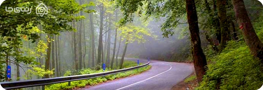 جنگل دالخانی