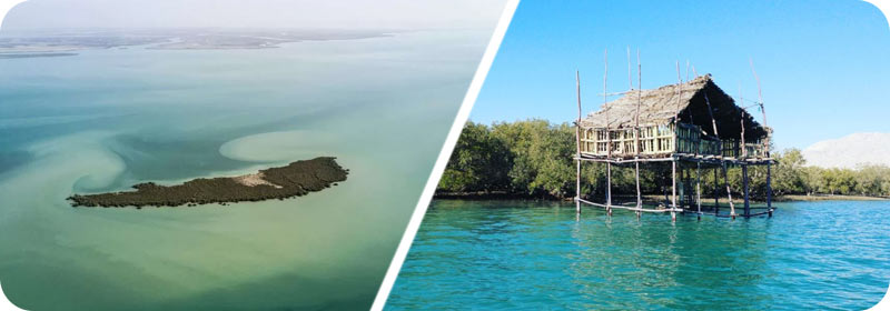 کلبه کالِنگار