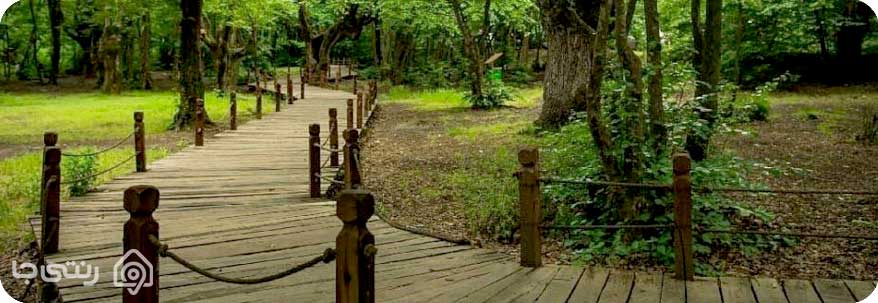 پارک جنگلی گیسوم