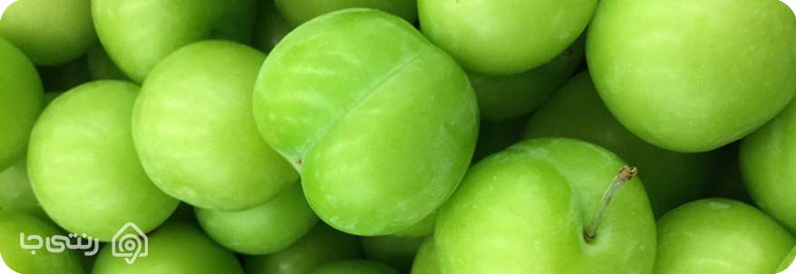 سوغاتی های برغان