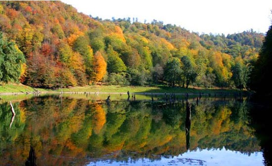 دریاچه آویدر 