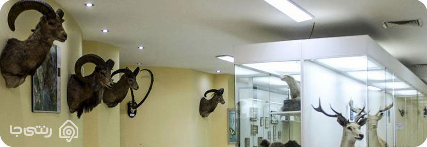 موزه تاریخ طبیعی