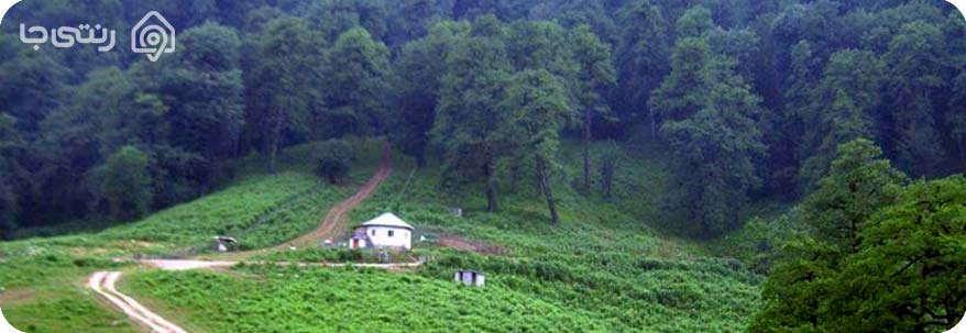 جنگل دالخانی در رامسر