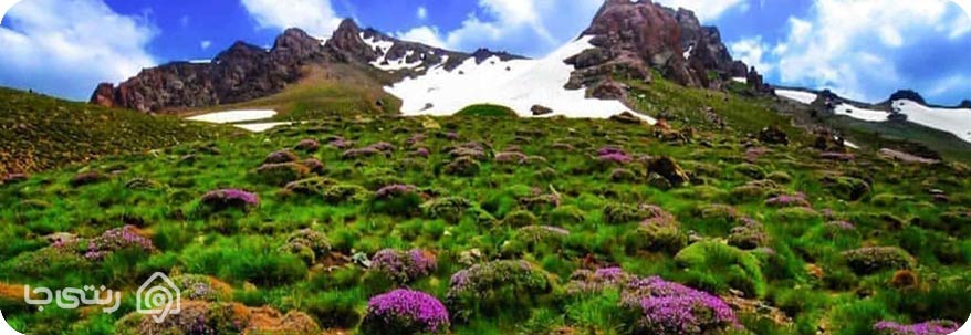 کوه دالامپر