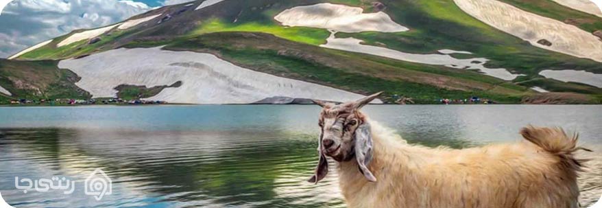 دریاچه دالامپر 