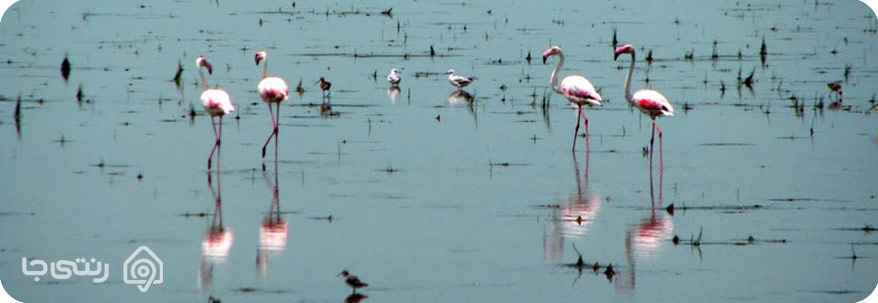 تالاب گمیشان