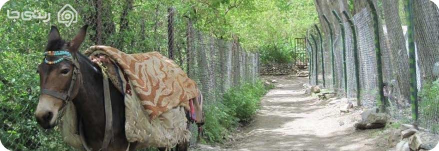 سفر به میگون