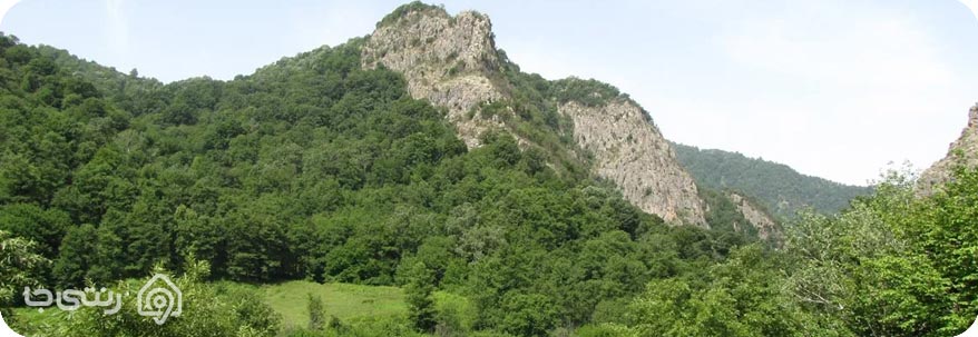 جنگل های هیرکانی