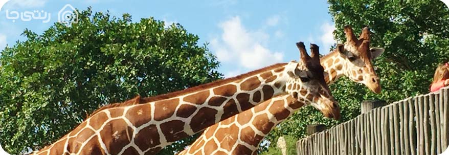 باغ وحش ملارد 